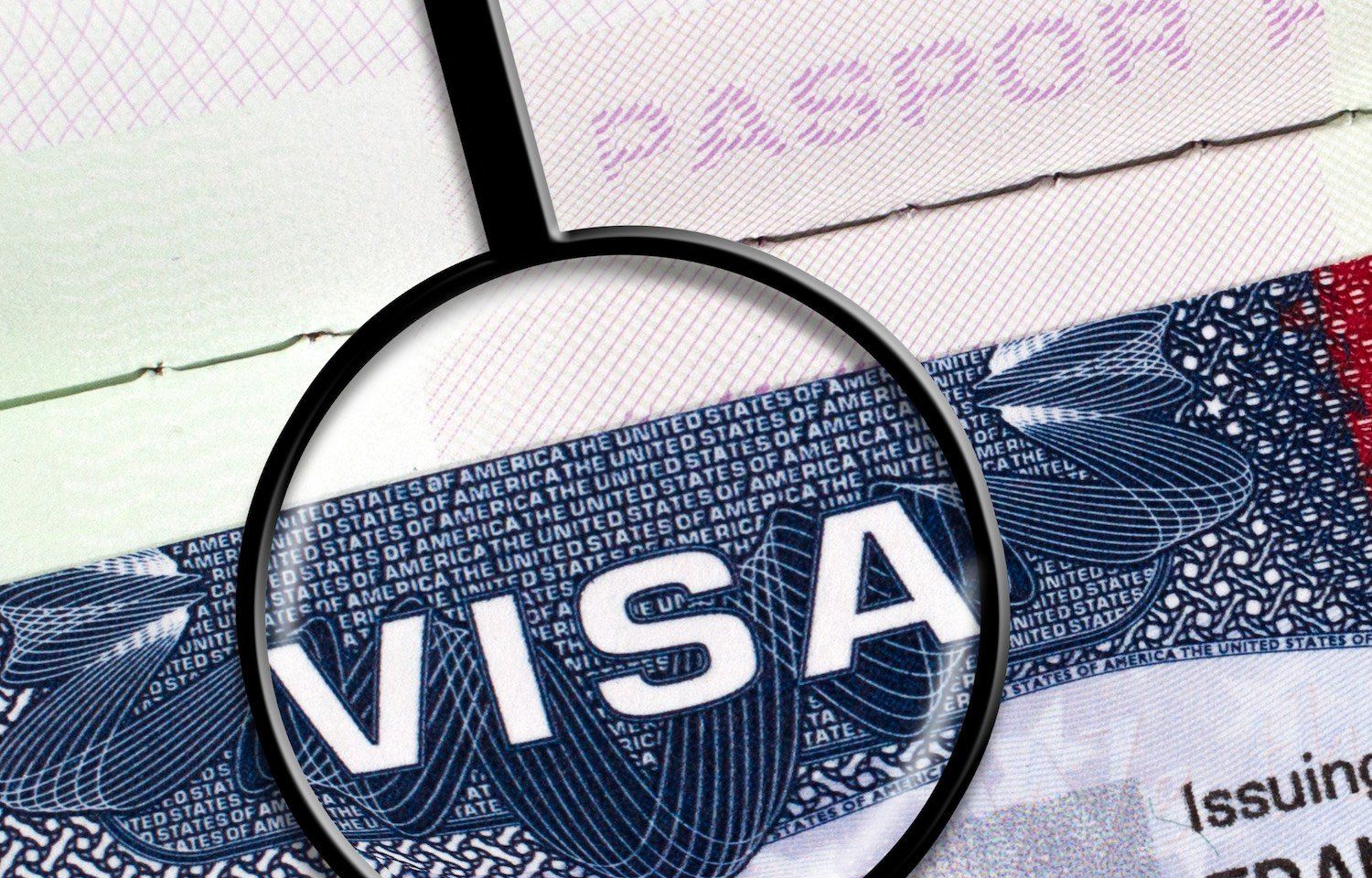 A Guide To The H-1B Visa: The Top Companies For Sponsorship | Leland