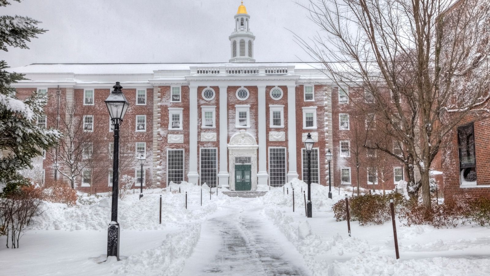 Harvard Medical School