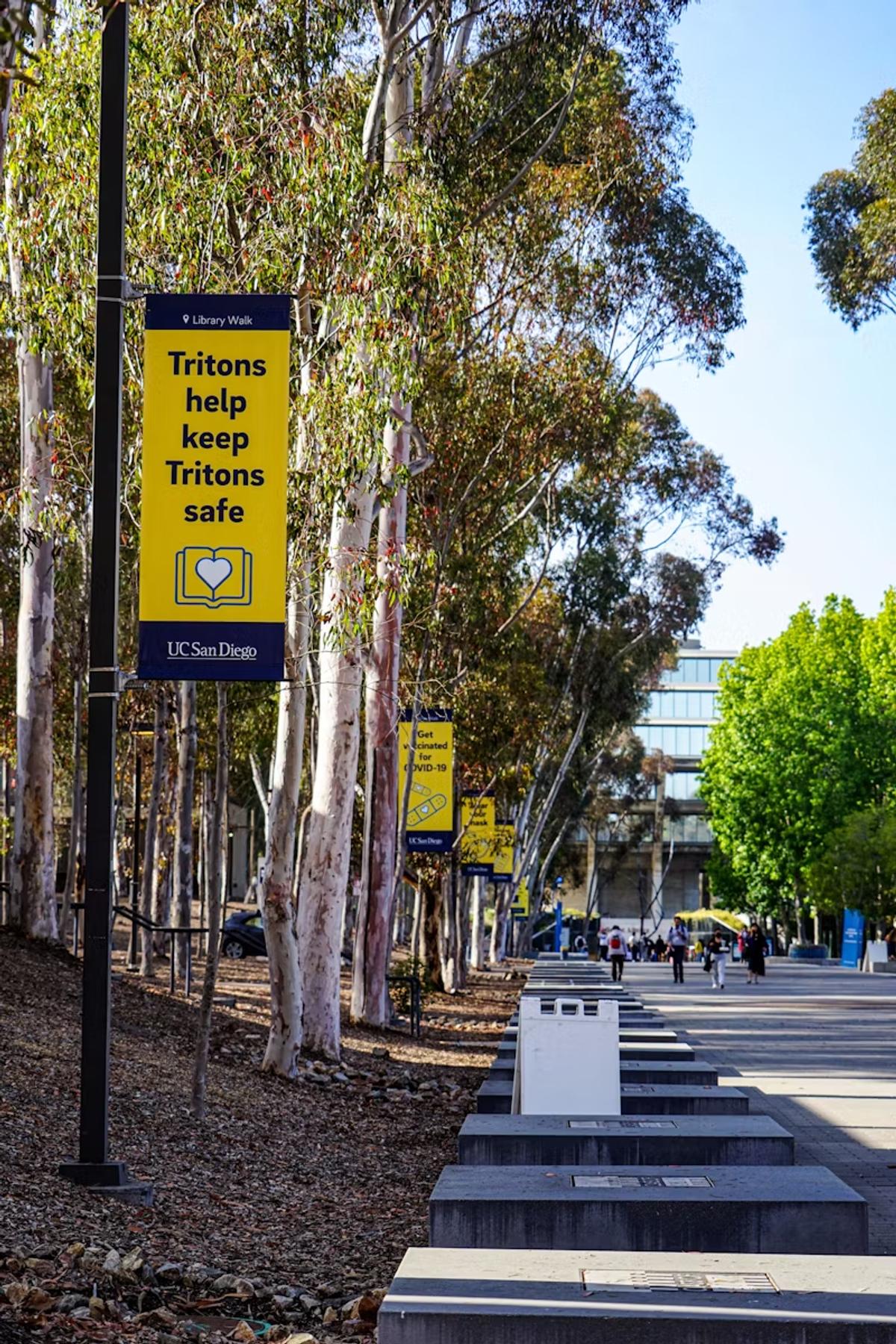 UC San Diego UCSD Acceptance Rate 2024 2025 Breakdown Analysis uc-san-diego-ucsd-acceptance-rate-2024-2025-breakdown-analysis