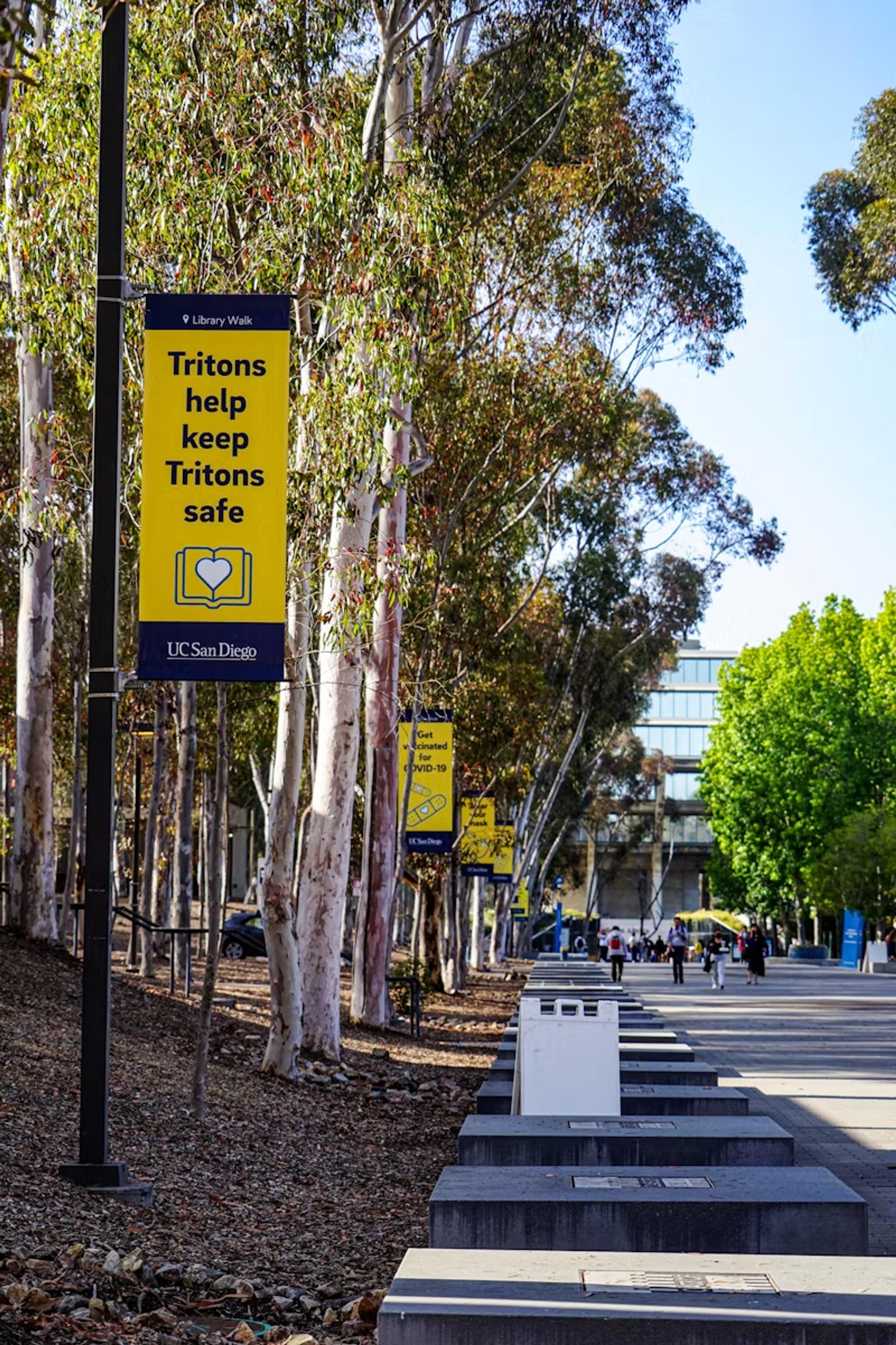 UC San Diego UCSD Acceptance Rate 2024 2025 Breakdown Analysis uc-san-diego-ucsd-acceptance-rate-2024-2025-breakdown-analysis