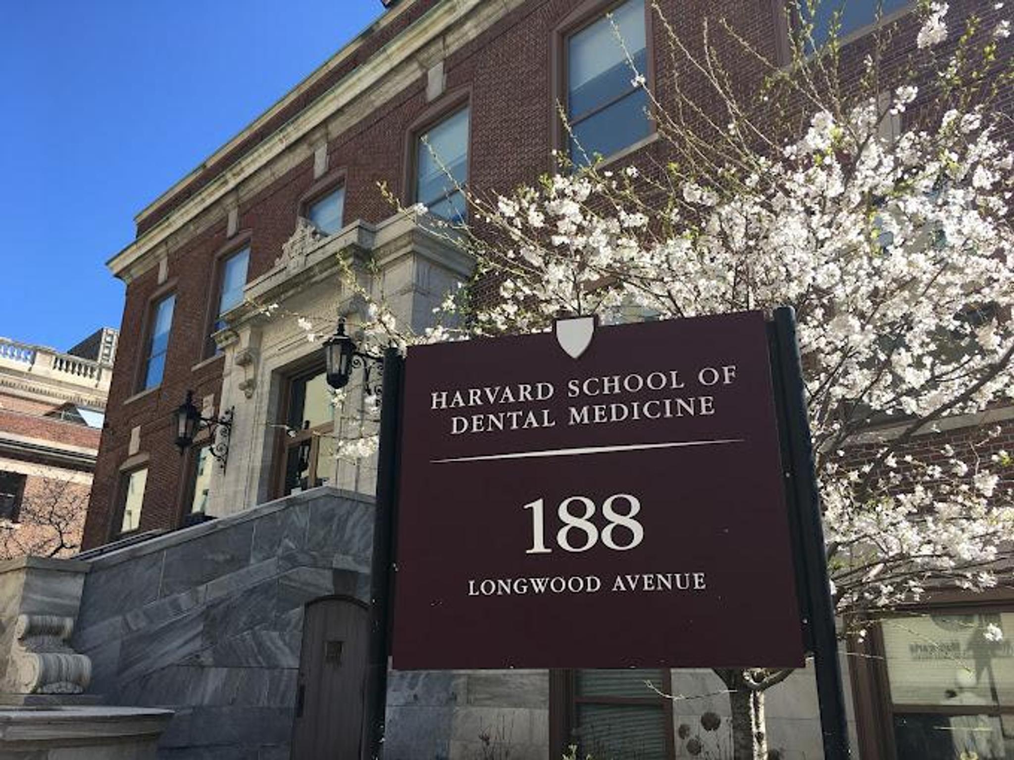 Leland Library Leland