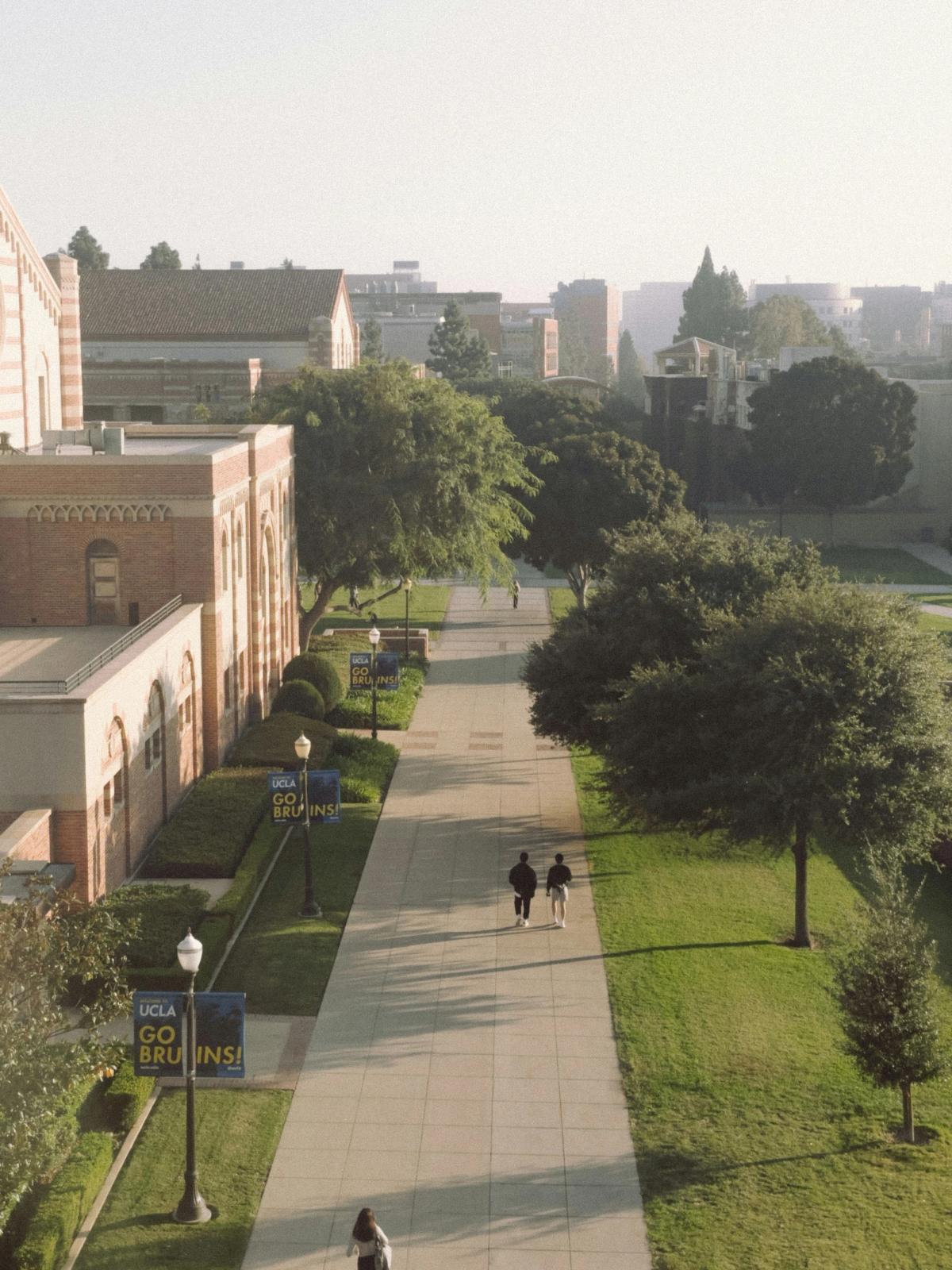 Ucla dental school application requirements acceptance rates and how