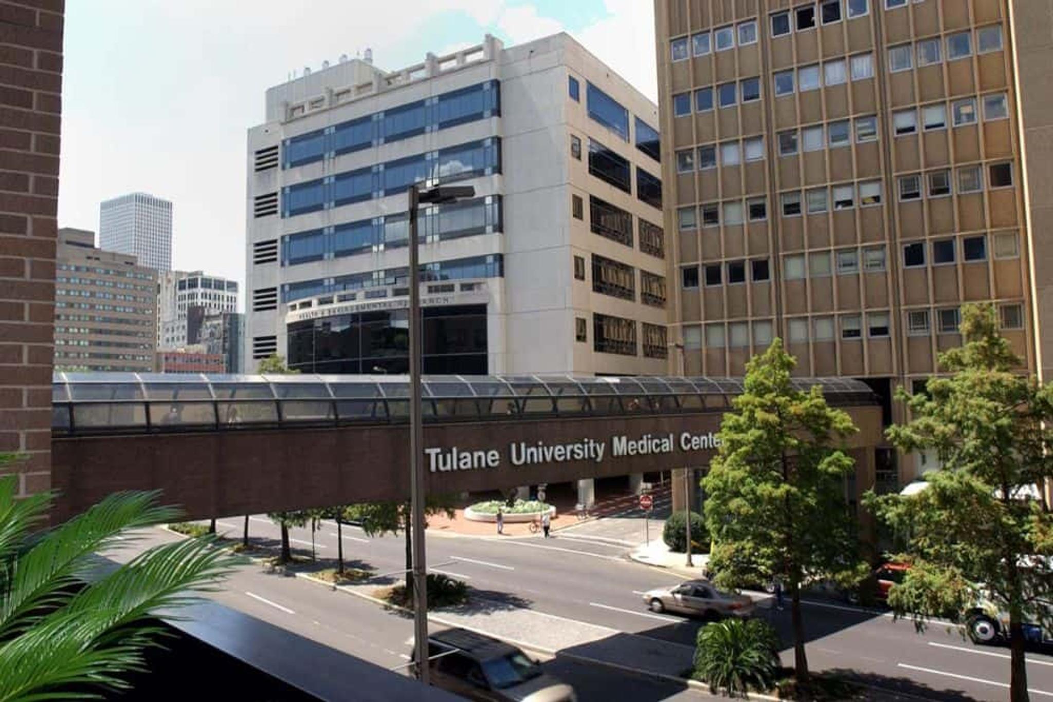 How to Get Into Tulane Medical School (2025) — Ranking, Acceptance Rate ...