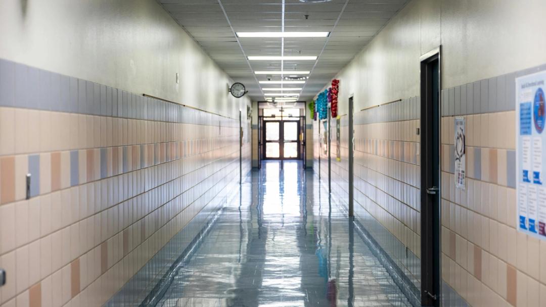 The 25 Best Pre-Med Schools in the US (2026) | Leland