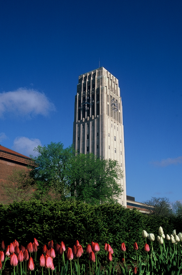University of Michigan School of Dentistry An Overview of Admissions