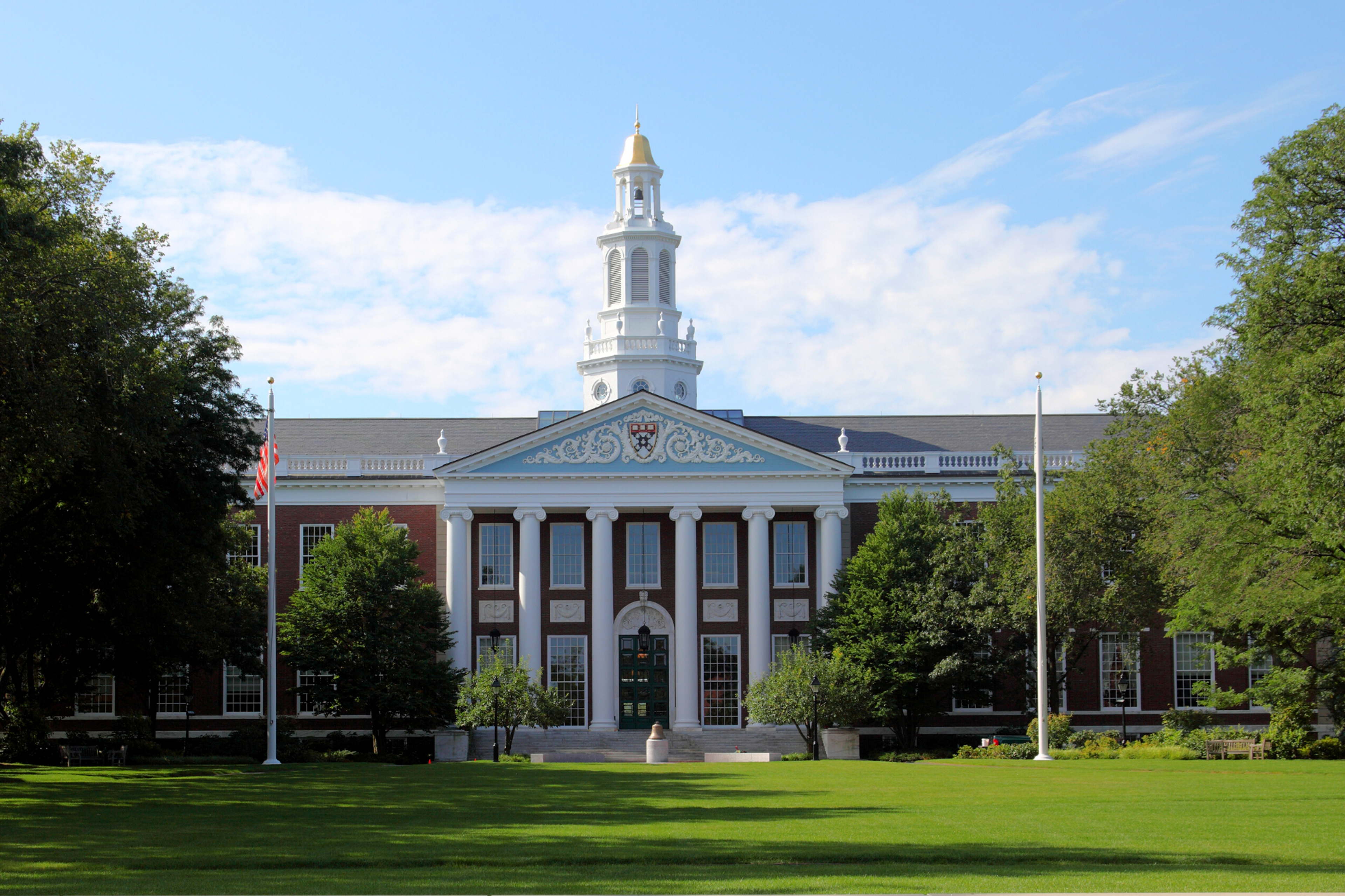 harvard business school essays examples