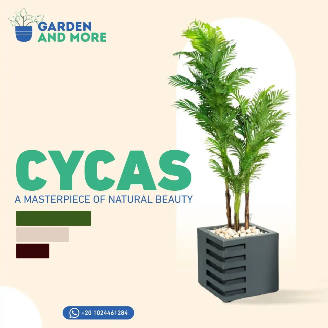 Garden & More - Social Media Designs — Image 3