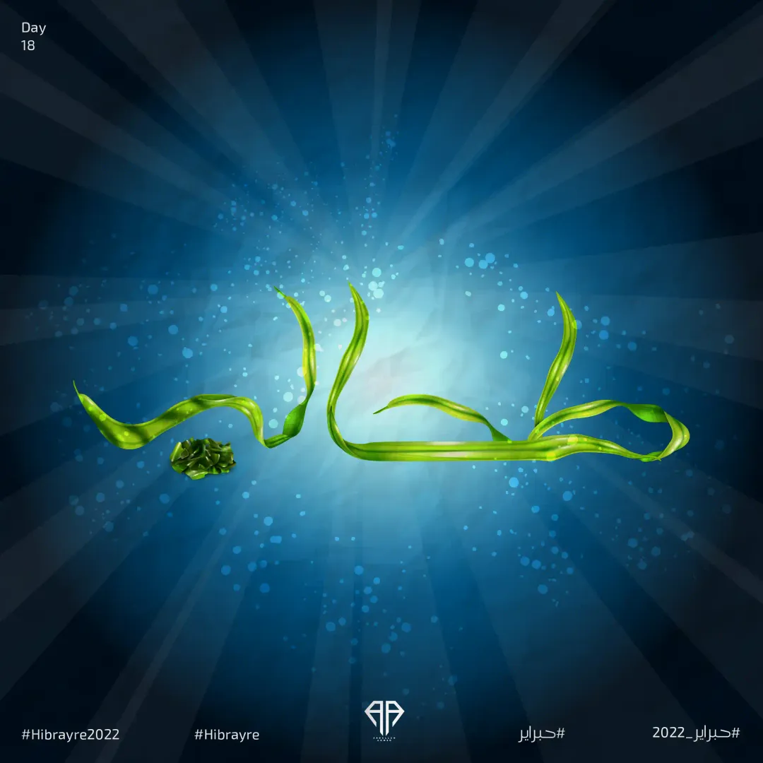 Hibrayer 2022 — Image 16