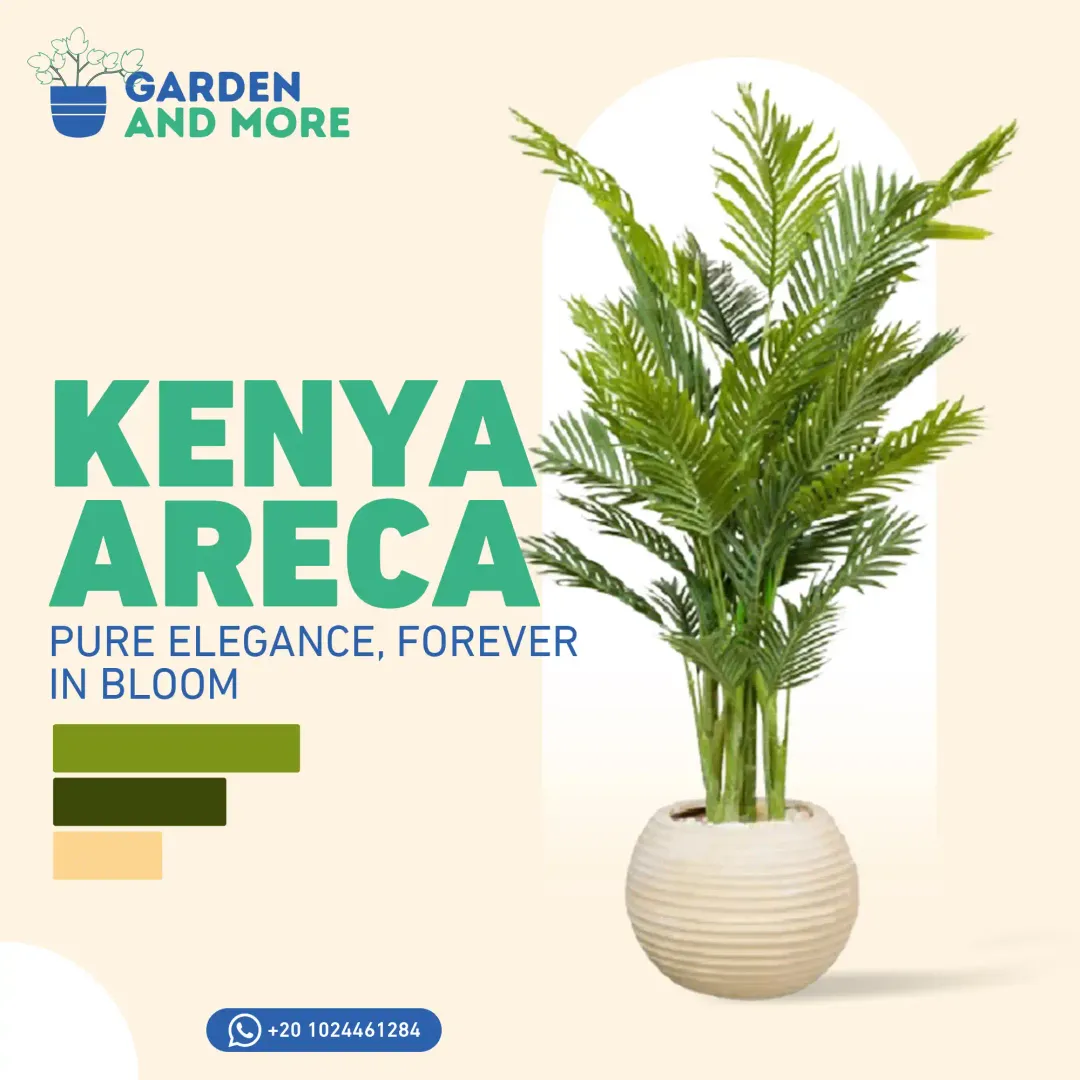 Garden & More - Social Media Designs — Image 4