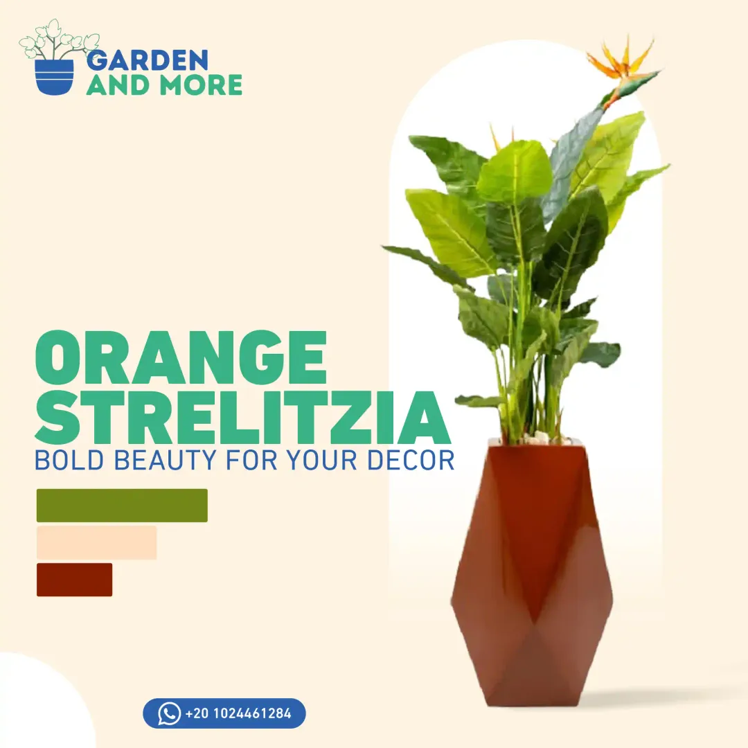 Garden & More - Social Media Designs — Image 5