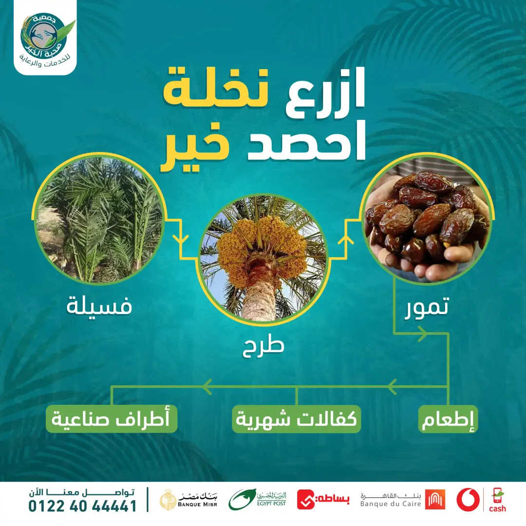 Social Media Ads Vol.01 — Image 8