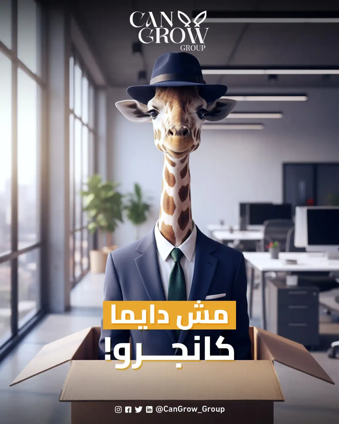 Cangrow - Social Media Designs — Image 10