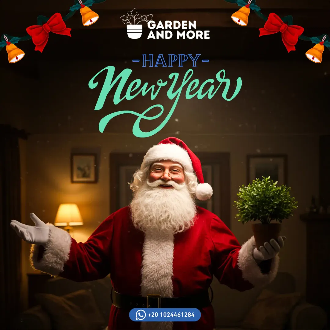 Garden & More - Social Media Designs — Image 9