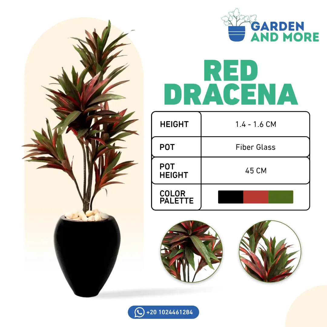 Garden & More - Social Media Designs — Image 7