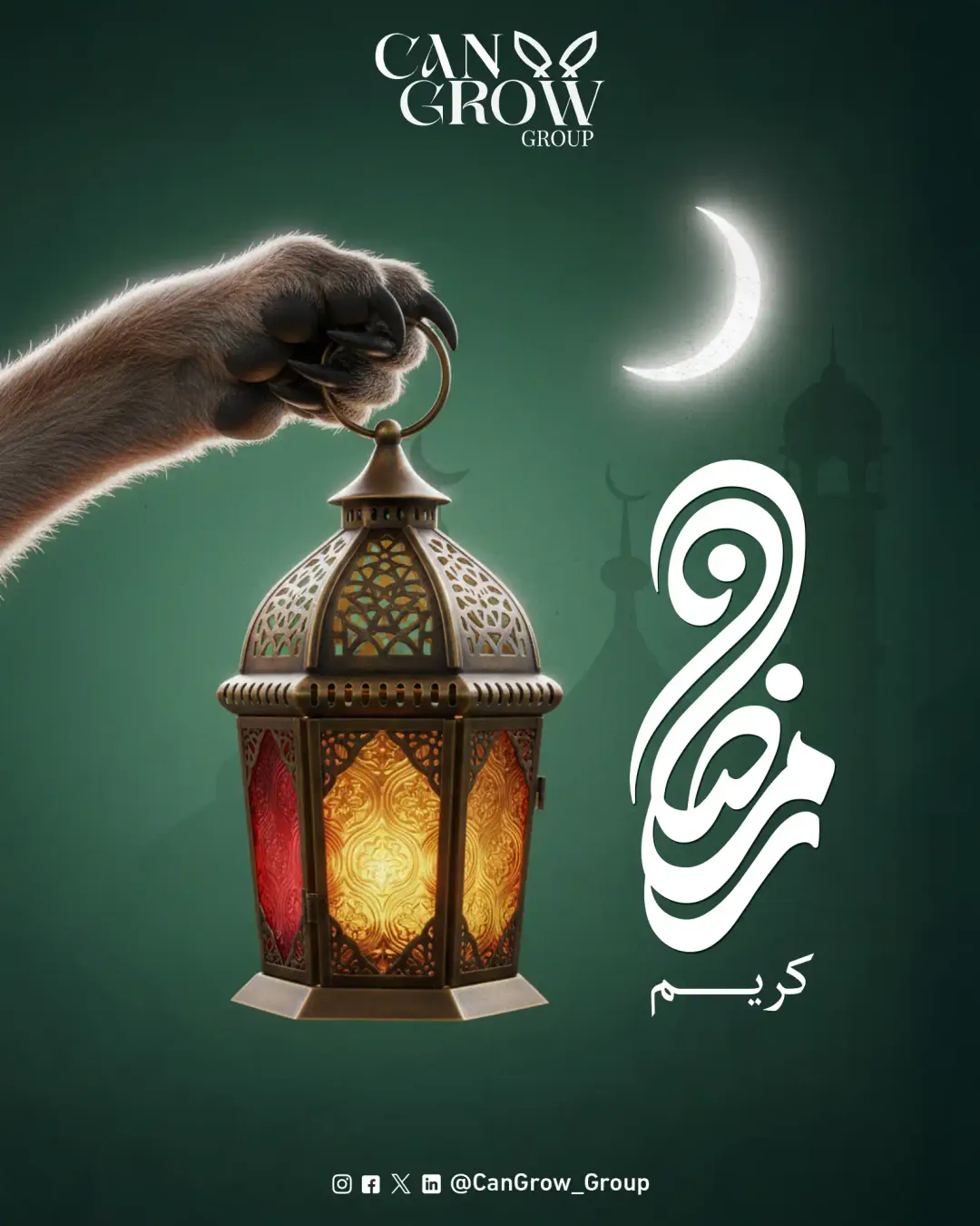 Cangrow - Social Media Designs — Image 6