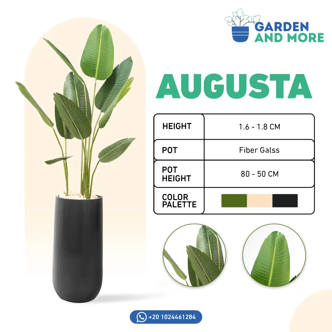 Garden & More - Social Media Designs — Image 6