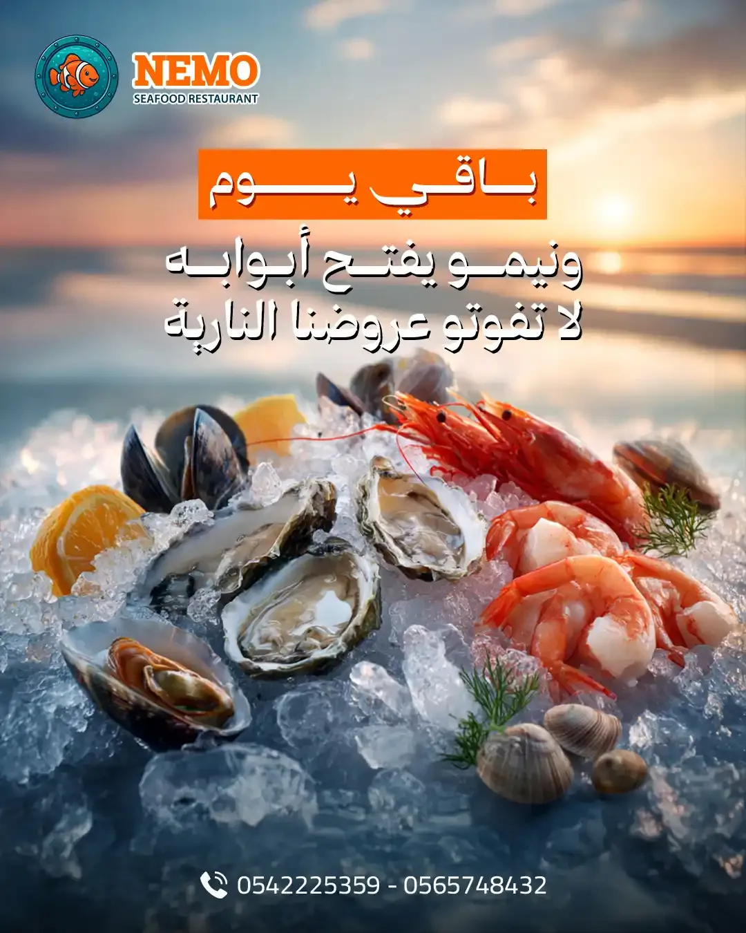 Nemo Fish - Social Media Designs — Image 18