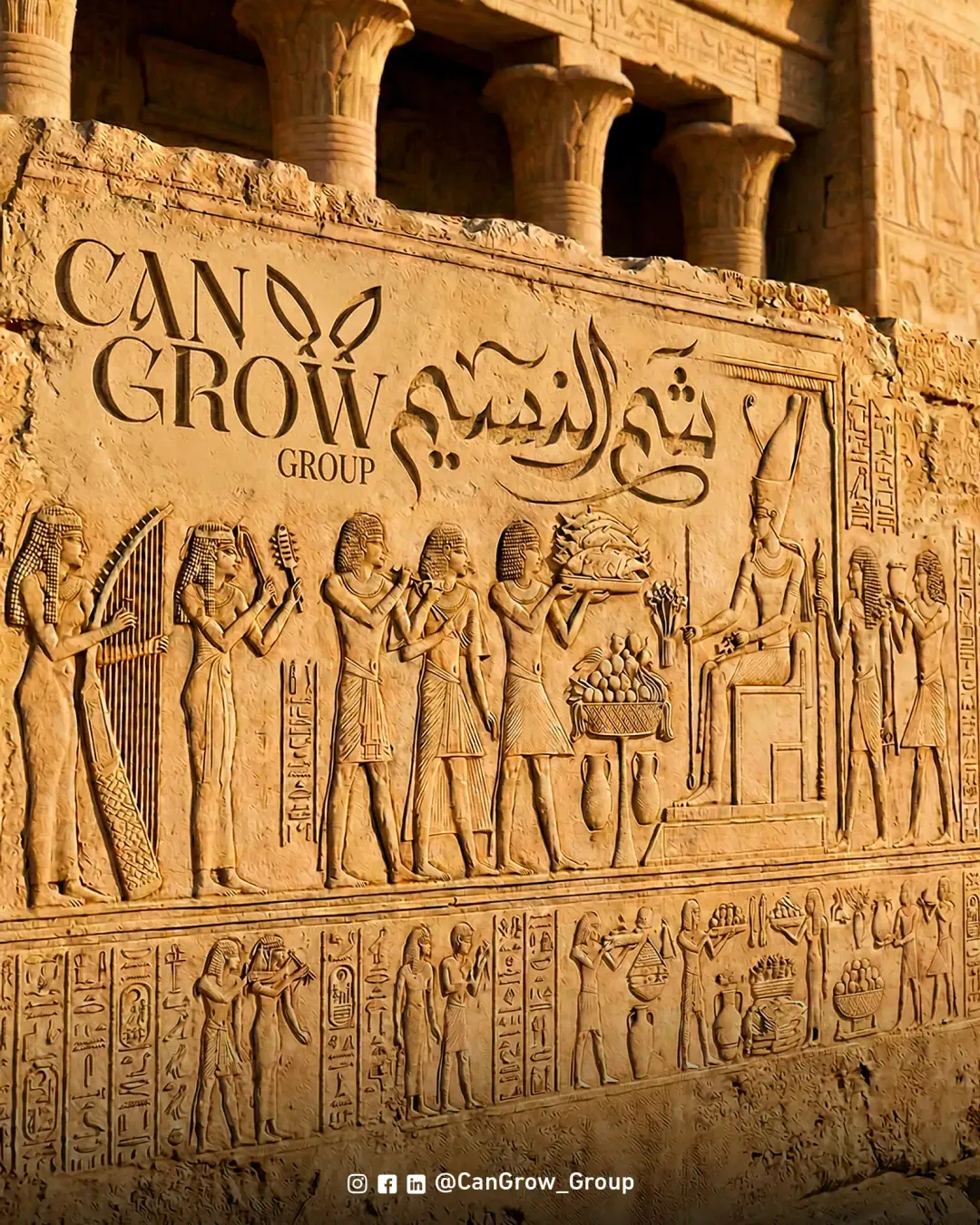 Cangrow - Social Media Designs — Image 7