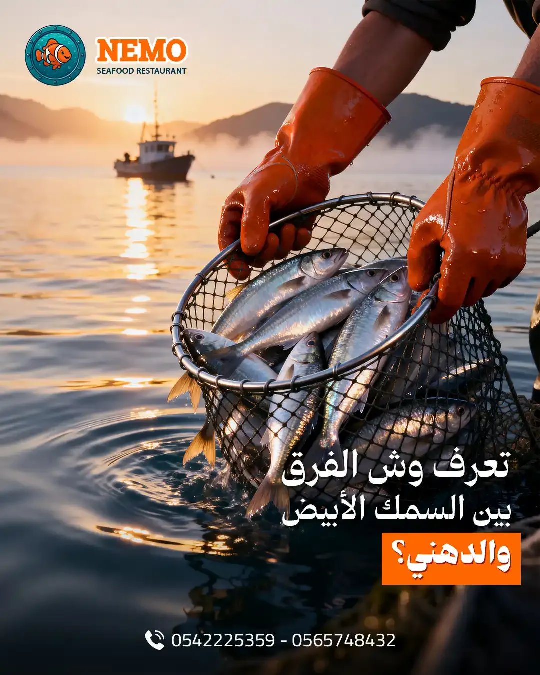 Nemo Fish - Social Media Designs — Image 14