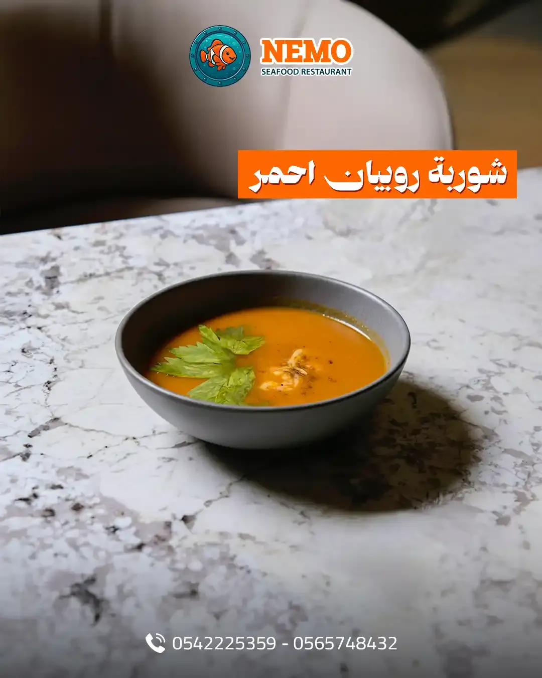 Nemo Fish - Social Media Designs — Image 9