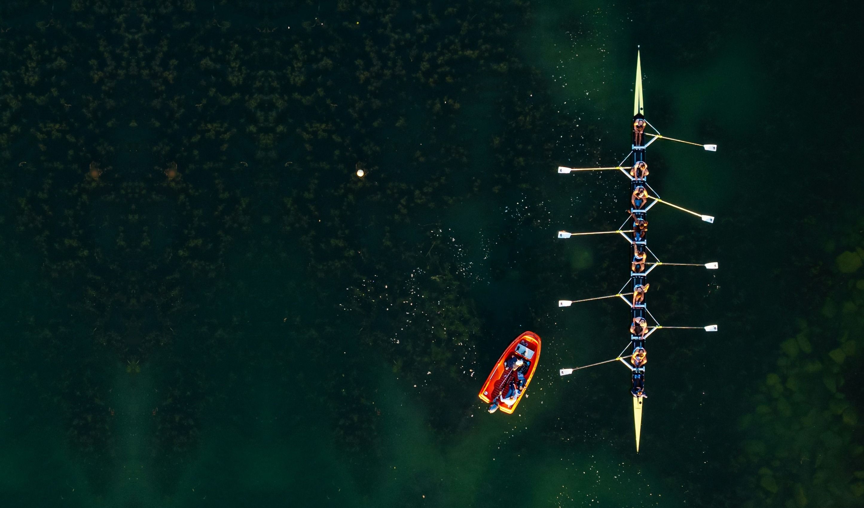 A rowing eight in step, seen from above.