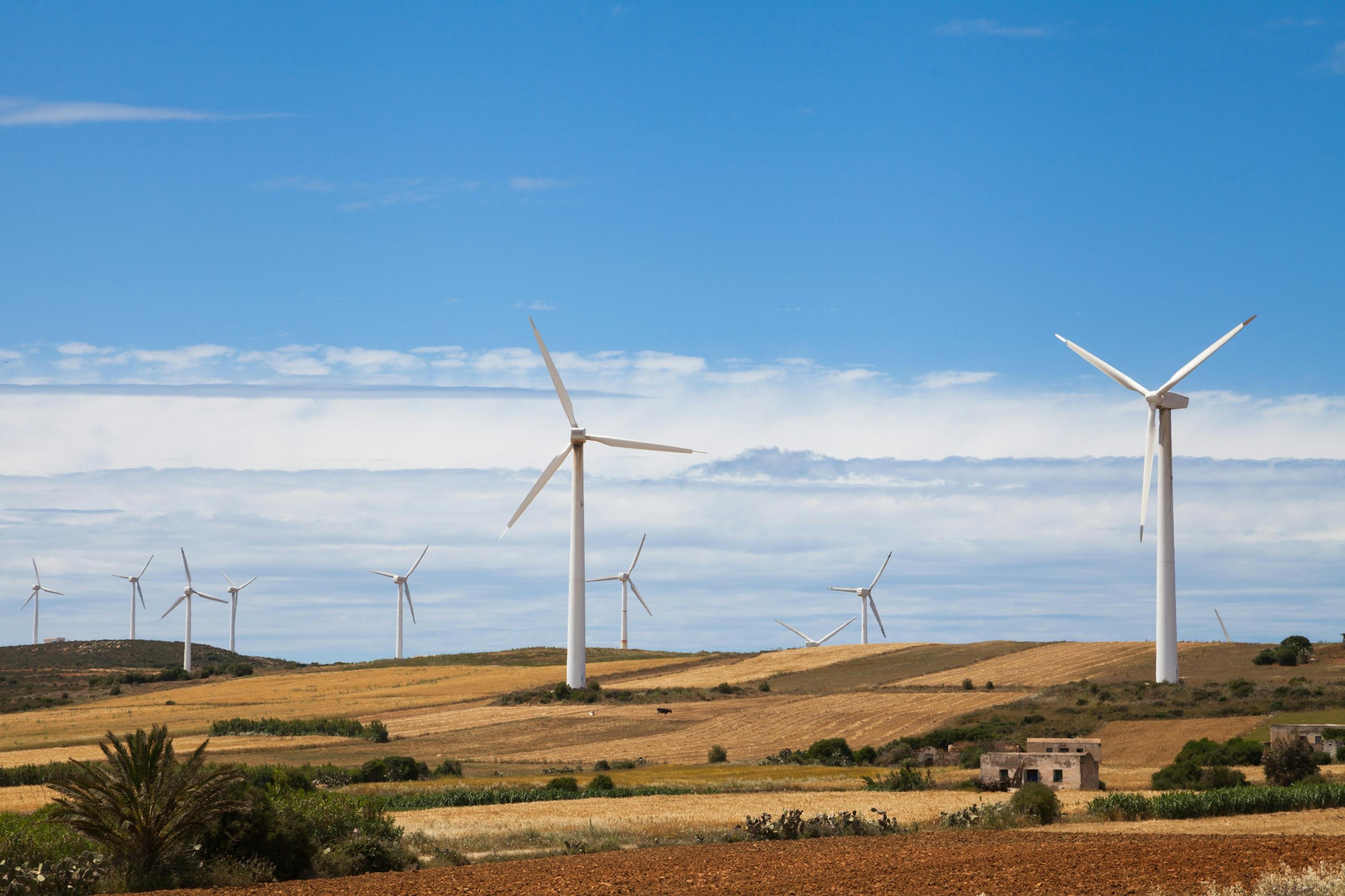 Wind turbines across golden farmland under a blue sky.