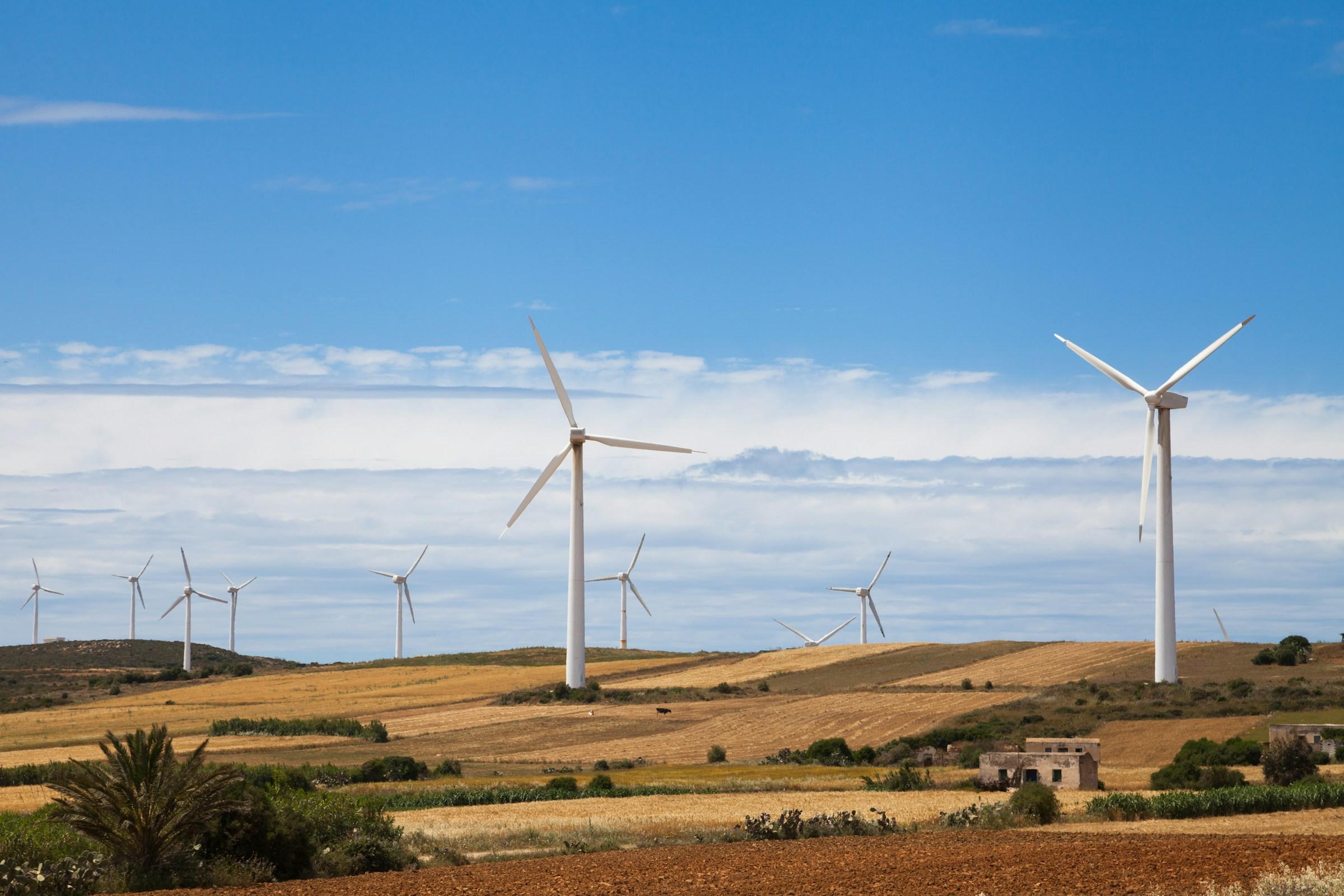Wind turbines across golden farmland under a blue sky.