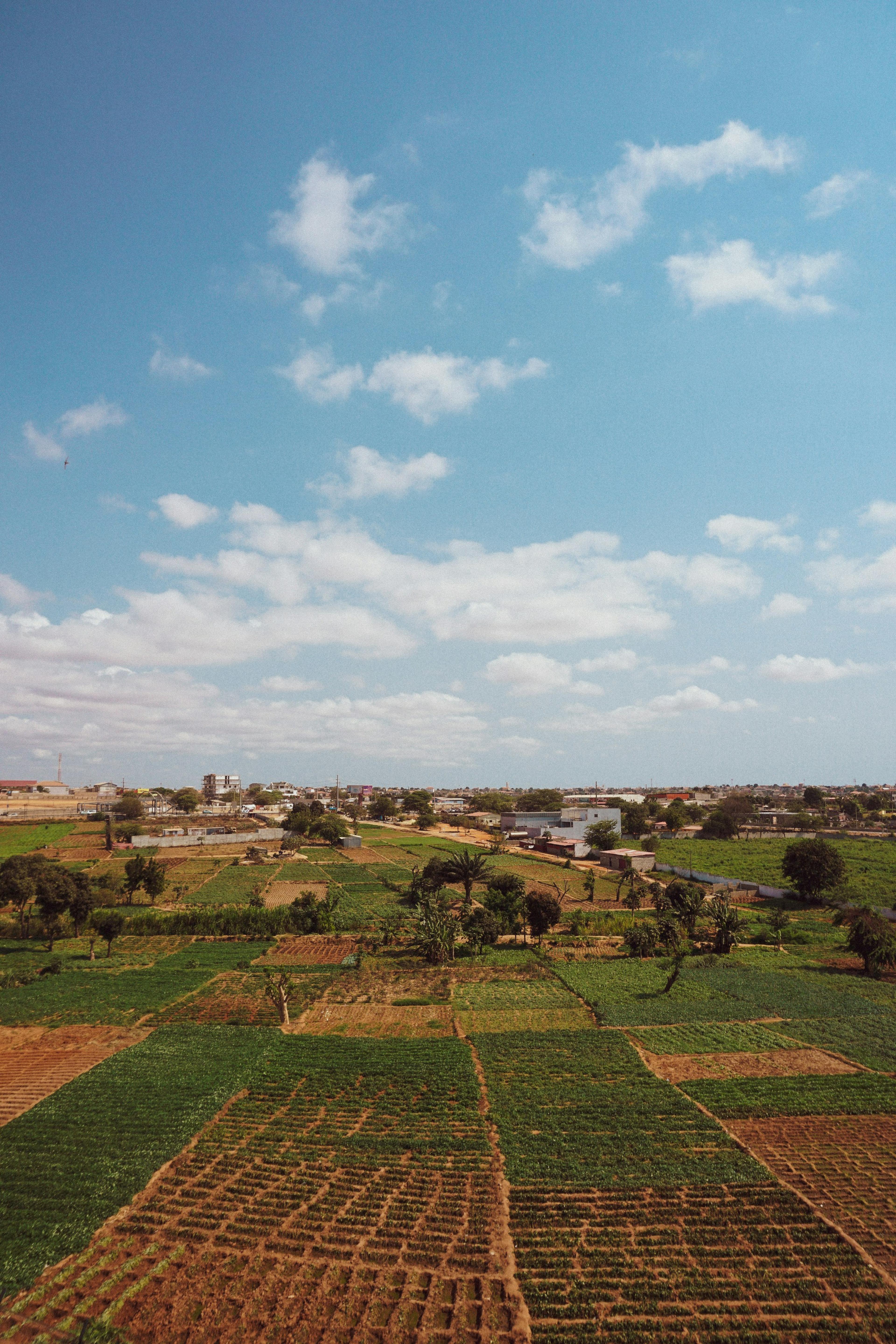 Farm plots stretching towards a town under a blue sky.