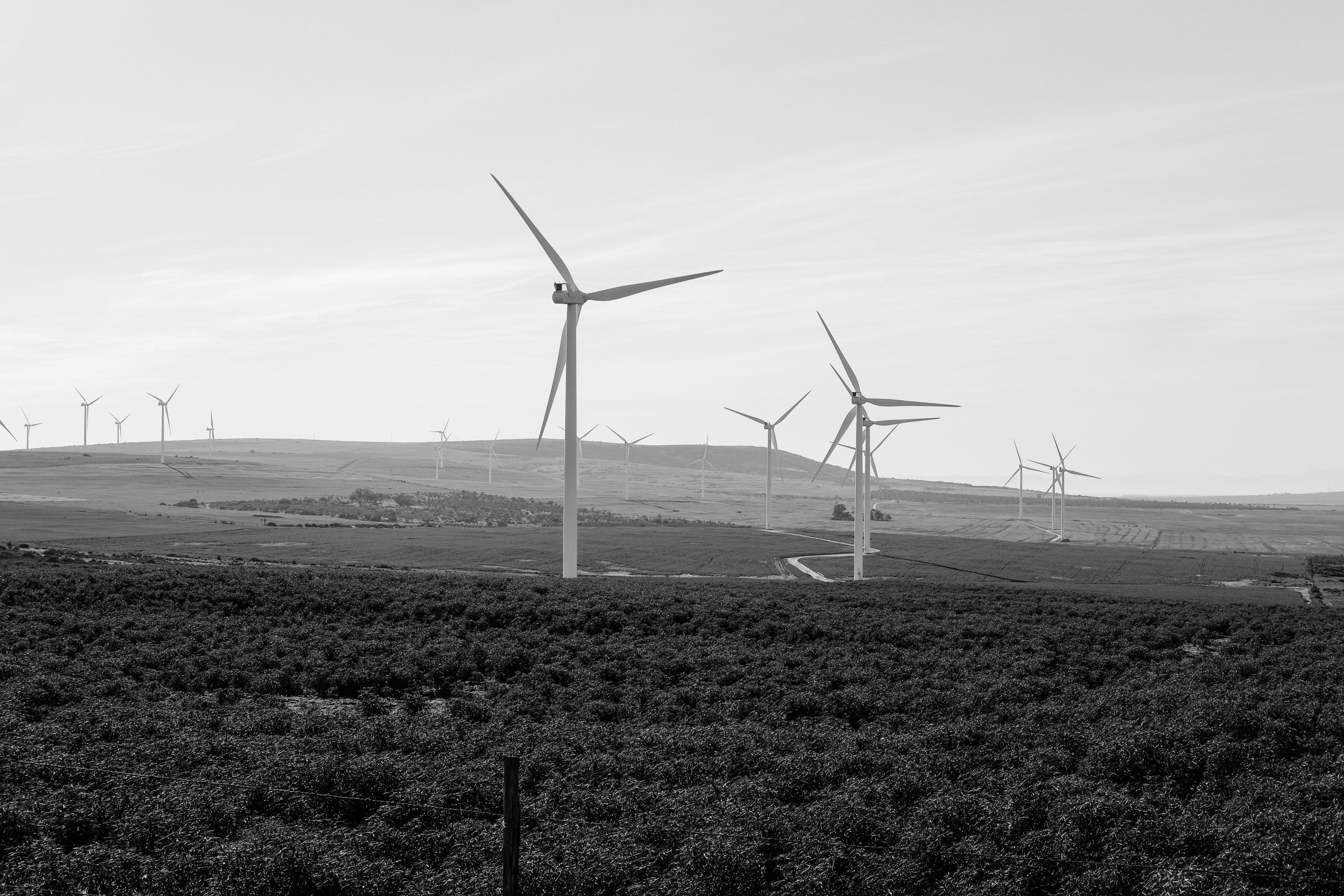 Wind turbines across farmland in South Africa.