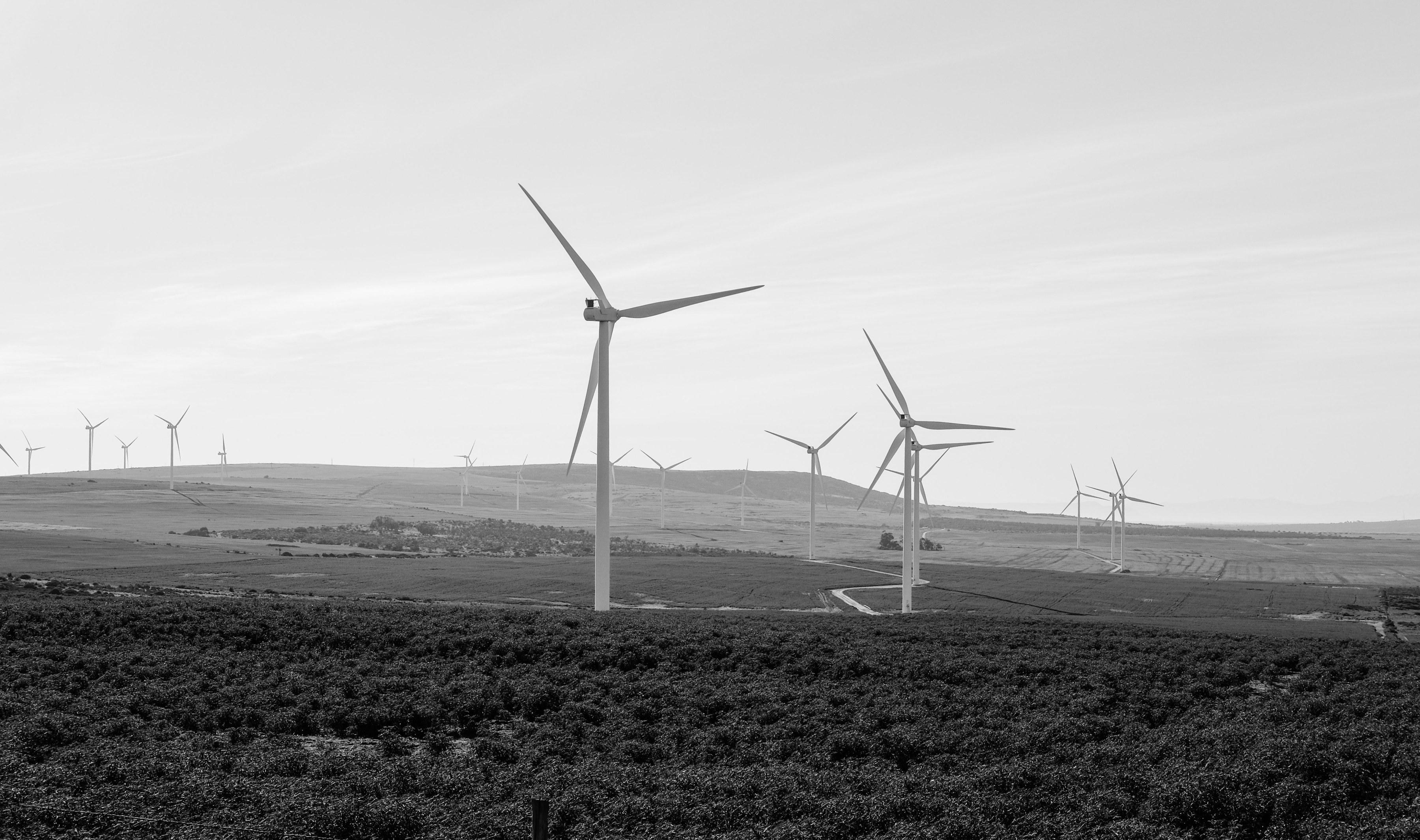 Wind turbines across farmland in South Africa.