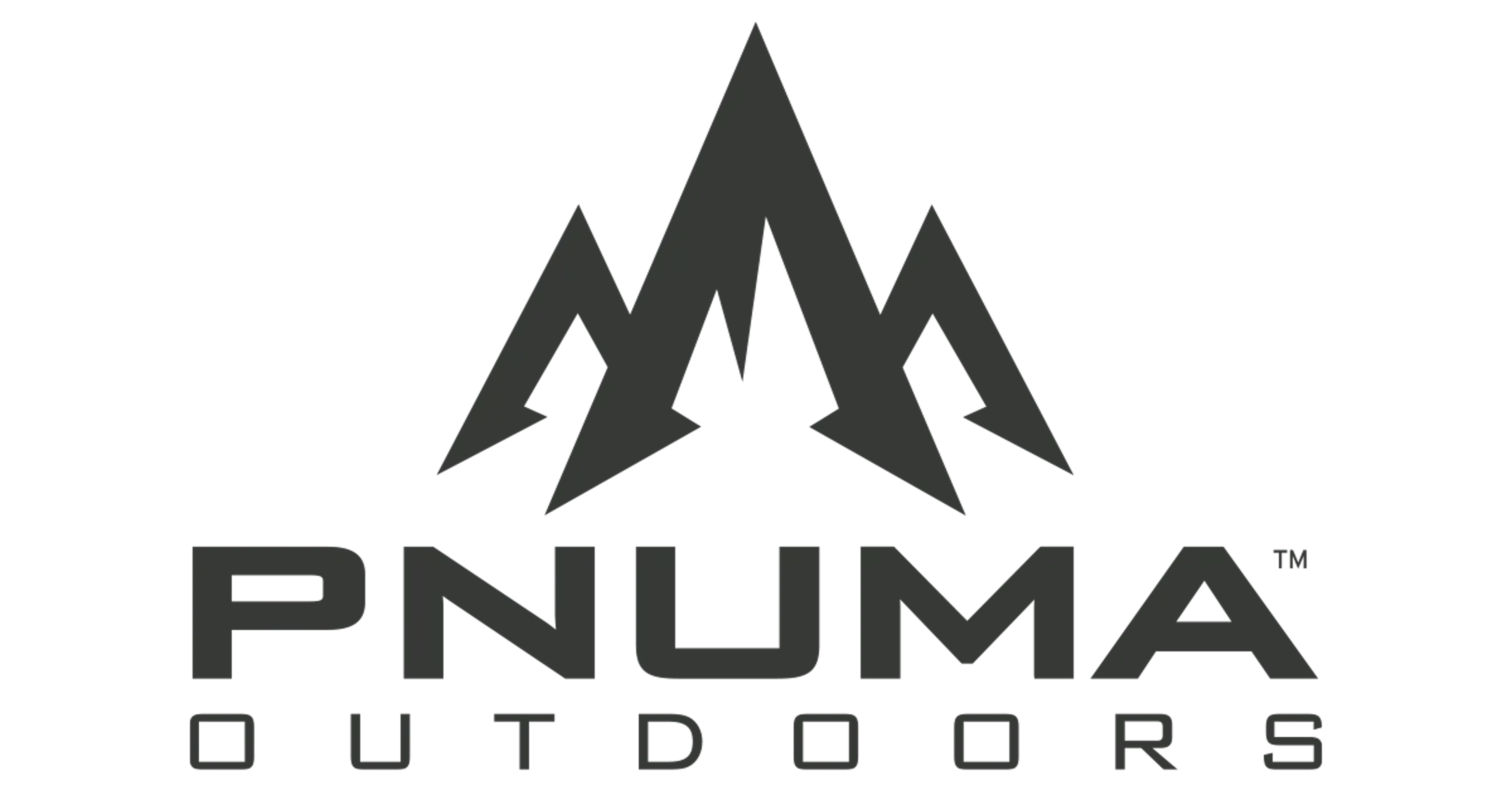 Pnuma Outdoors logo