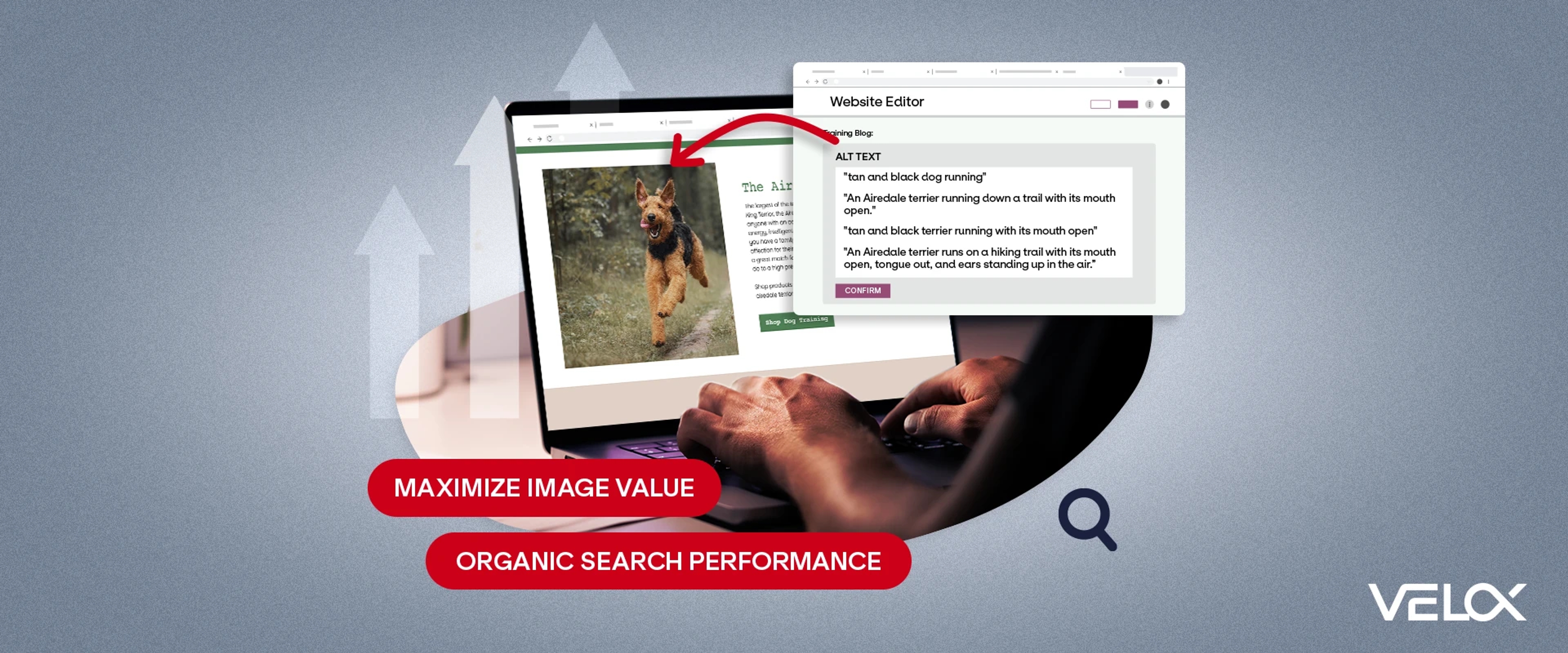 A person typing alt text on a laptop with the words maximize image value and organic search performance in bubbles nearby.