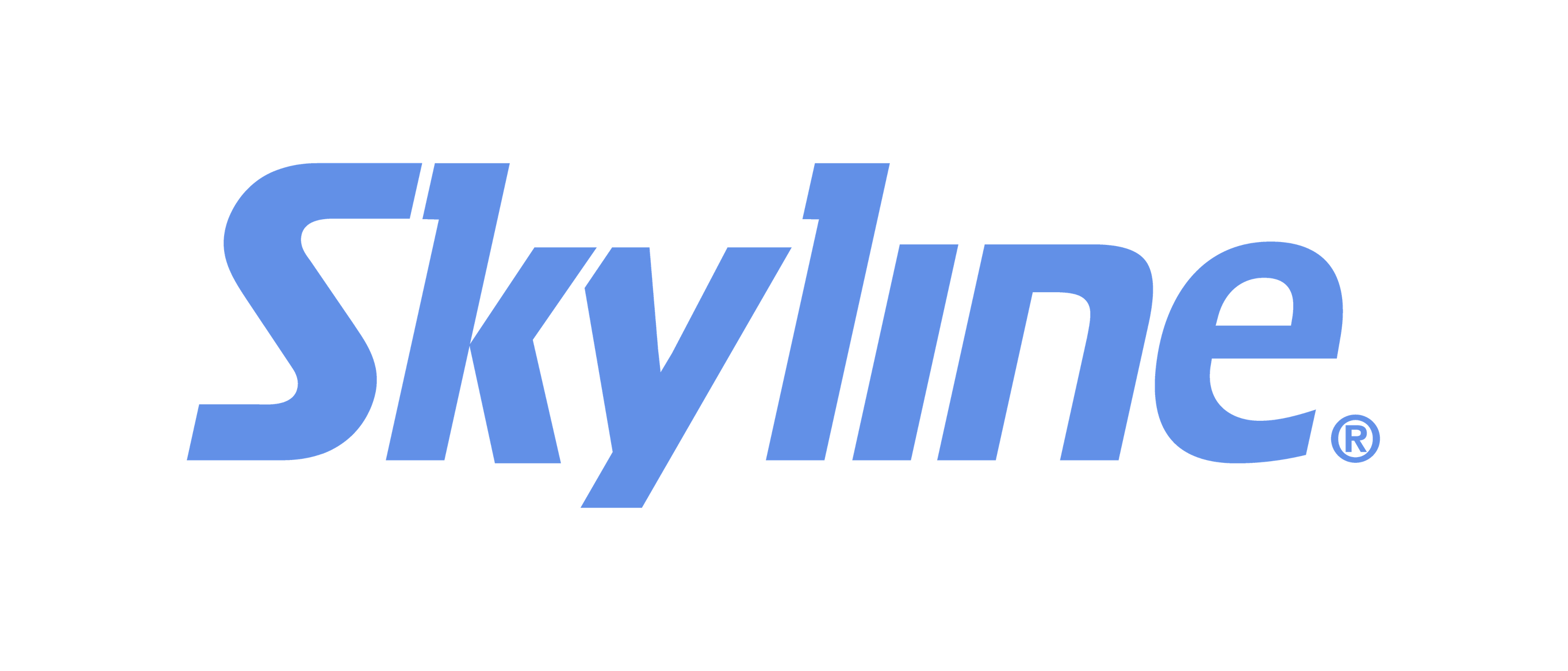 A blue Skyline logo