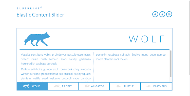 Elastic Slider