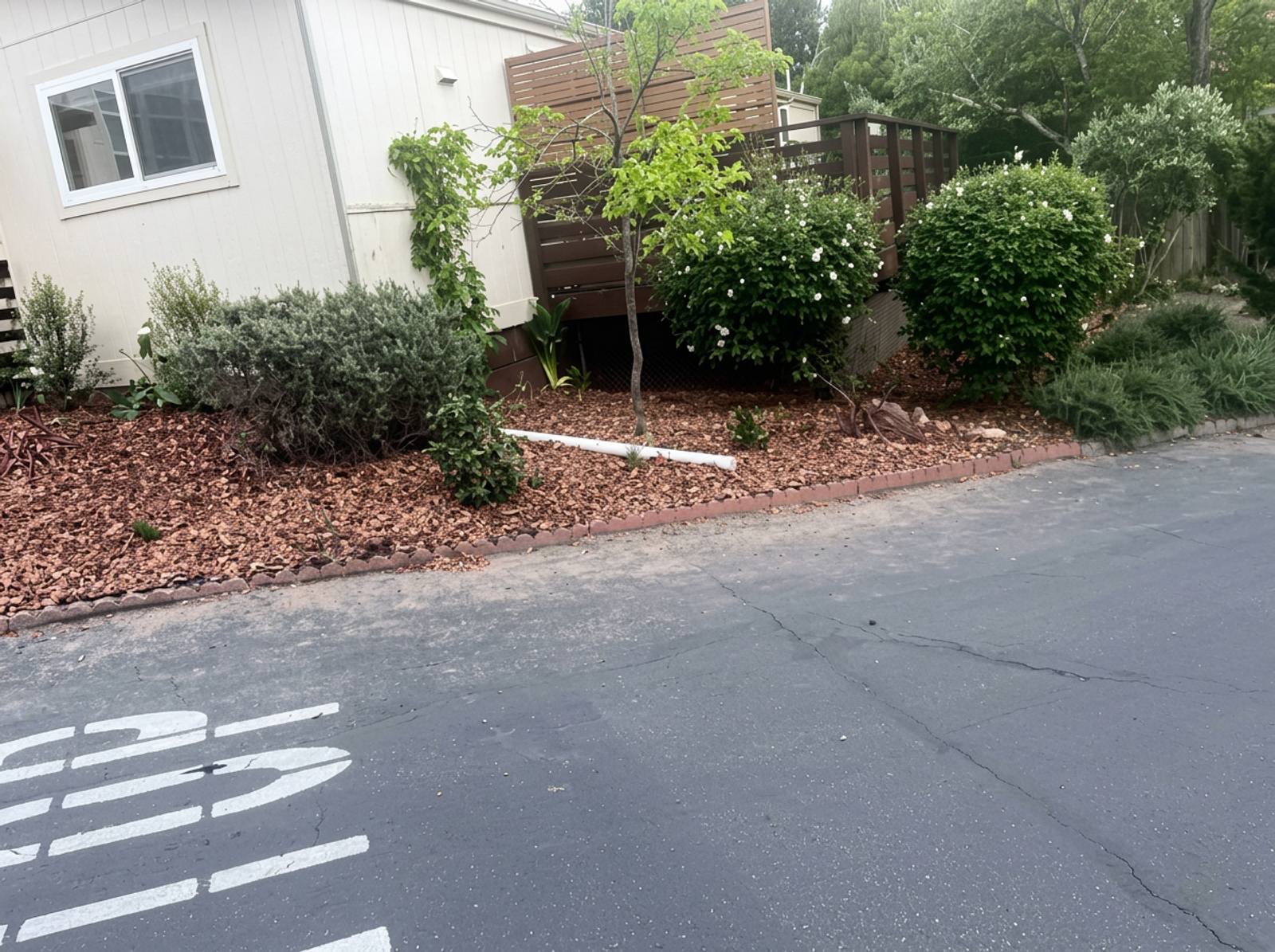 Driveway landscaping bed with fresh mulch and stone border in Watsonville
