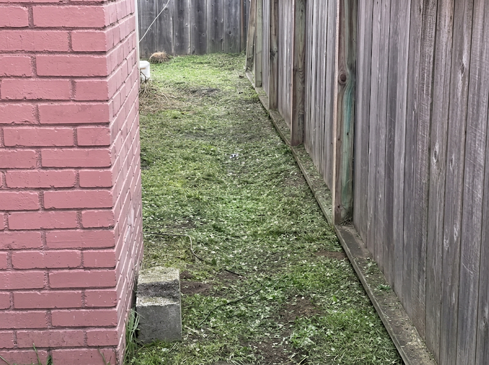 Side yard cleanup with weed removal and organic debris haul-away in Watsonville