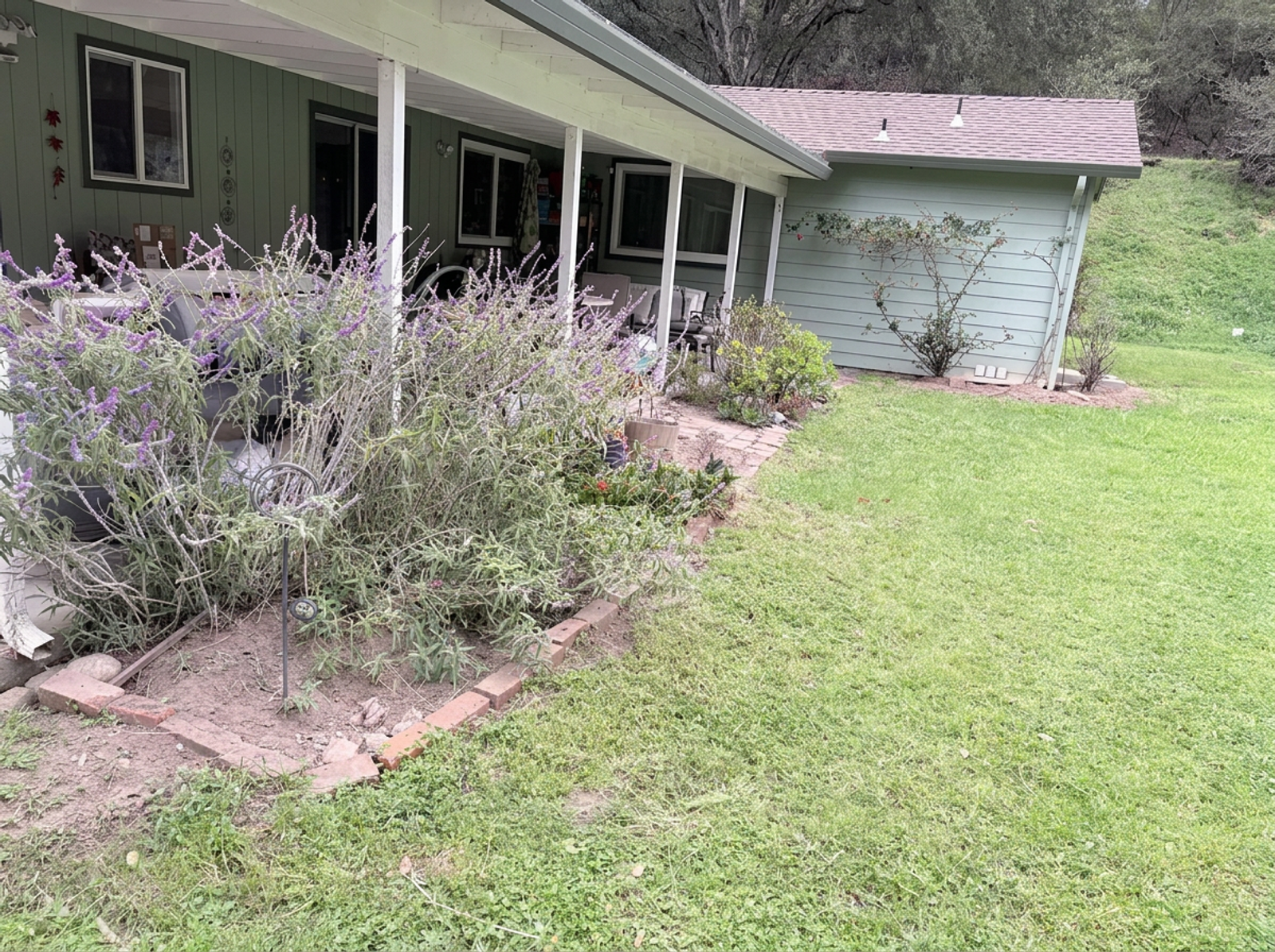 Freshly manicured front yard landscaping with green lawn and shaped hedges in Watsonville, CA