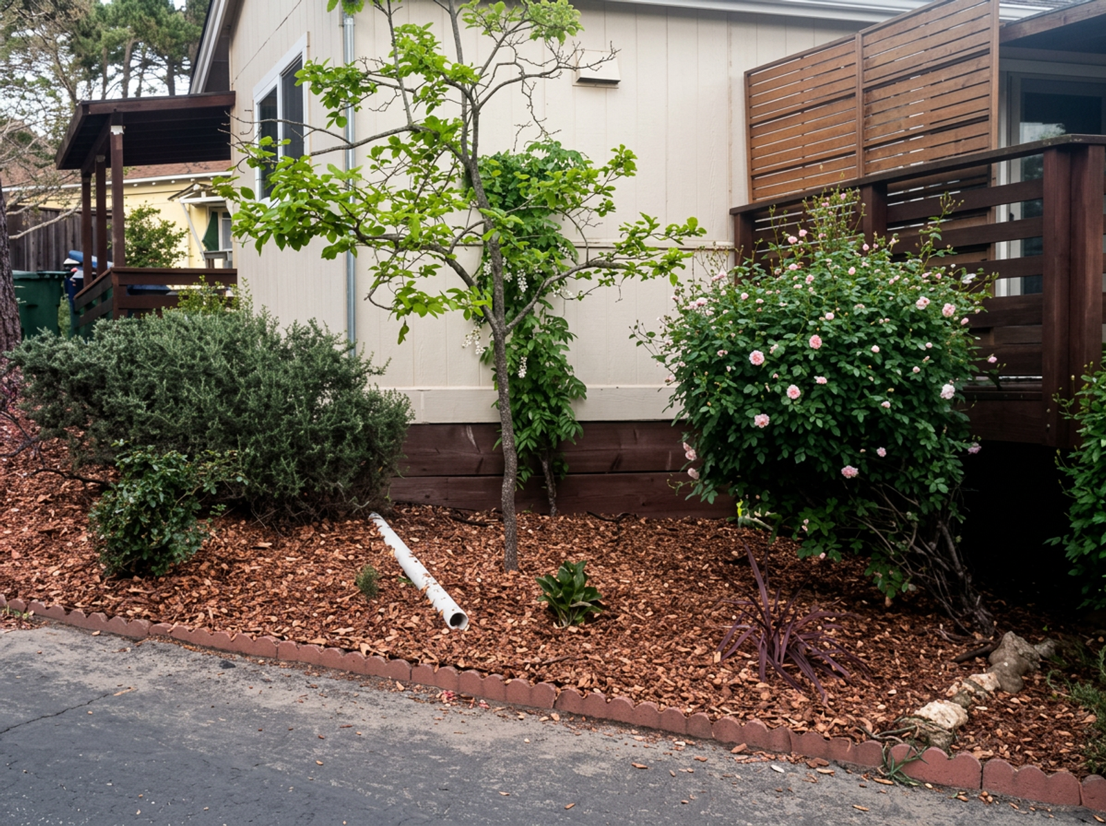 Fresh mulch bed installation around flowering shrubs in a Watsonville front yard