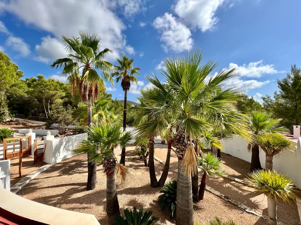 Beautiful Large Villa in KM4 with Nice View and Two Guest Houses16