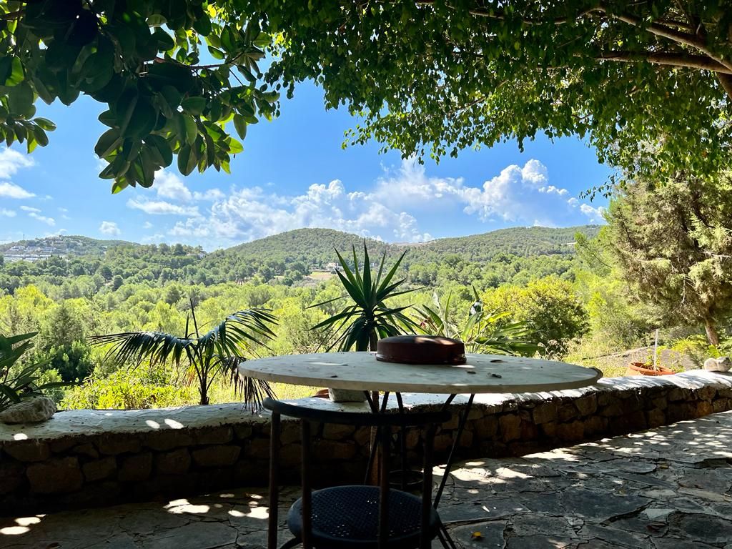 Beautiful property in the middle of the nature of Ibiza12