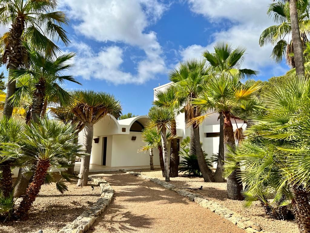 Beautiful Large Villa in KM4 with Nice View and Two Guest Houses14