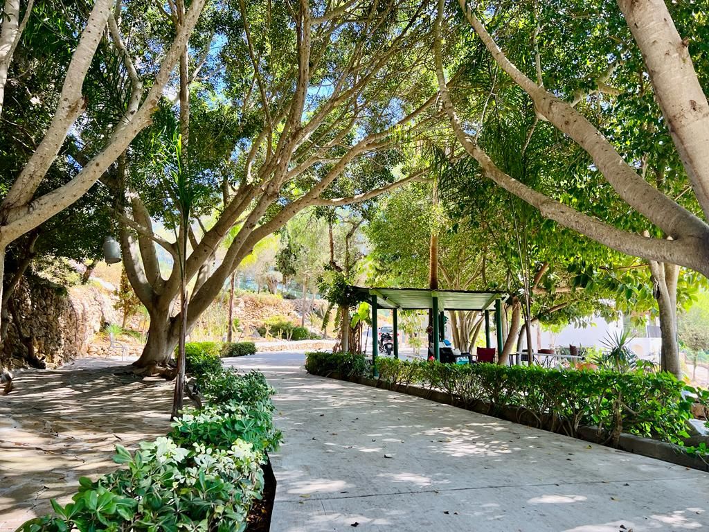 Beautiful property in the middle of the nature of Ibiza8