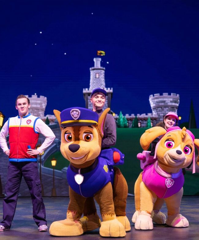 Paw Patrol