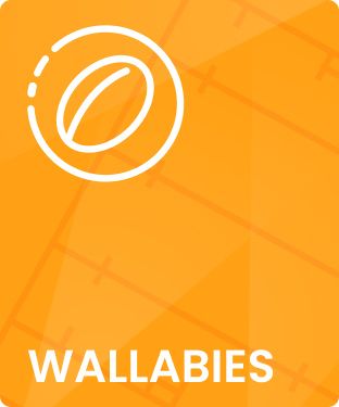 Wallabies