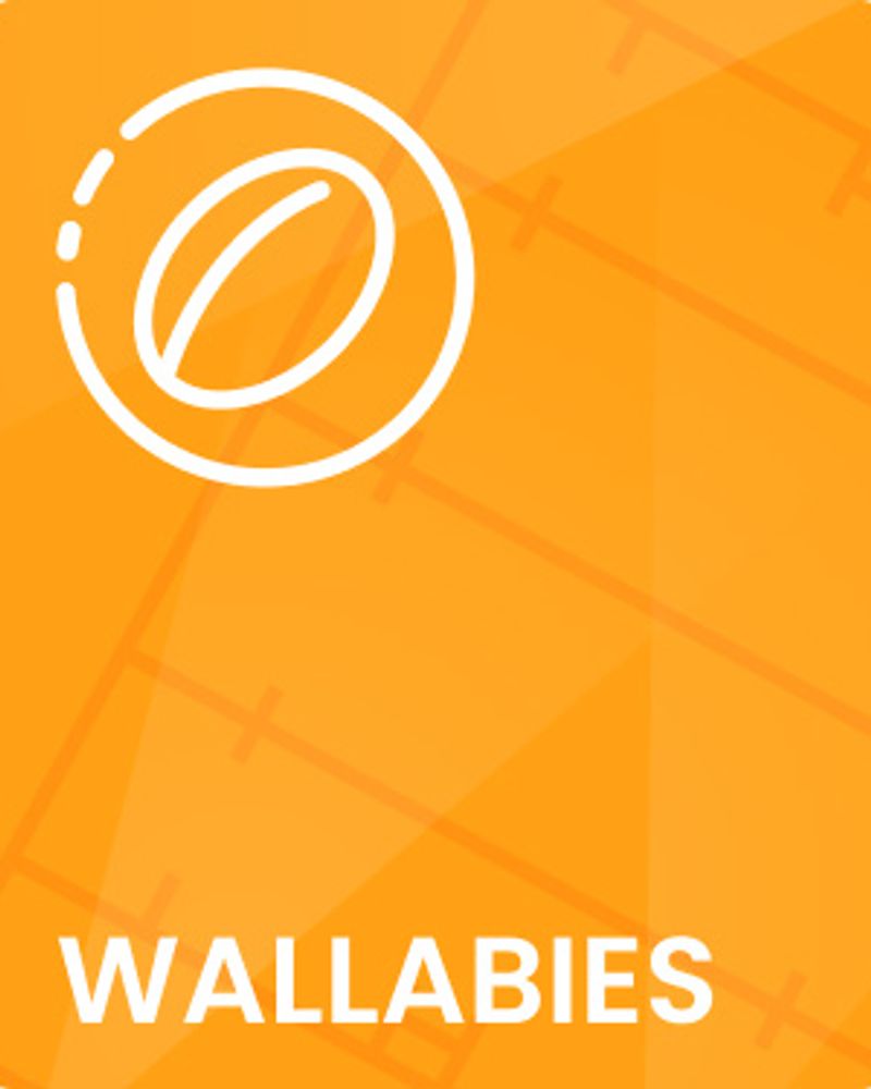 Wallabies