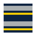 North Queensland Cowboys