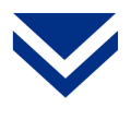 Canterbury Bulldogs