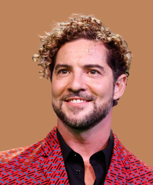 David Bisbal