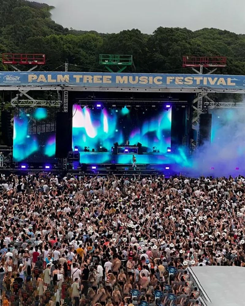 Palm Tree Festival