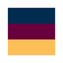 Brisbane Lions